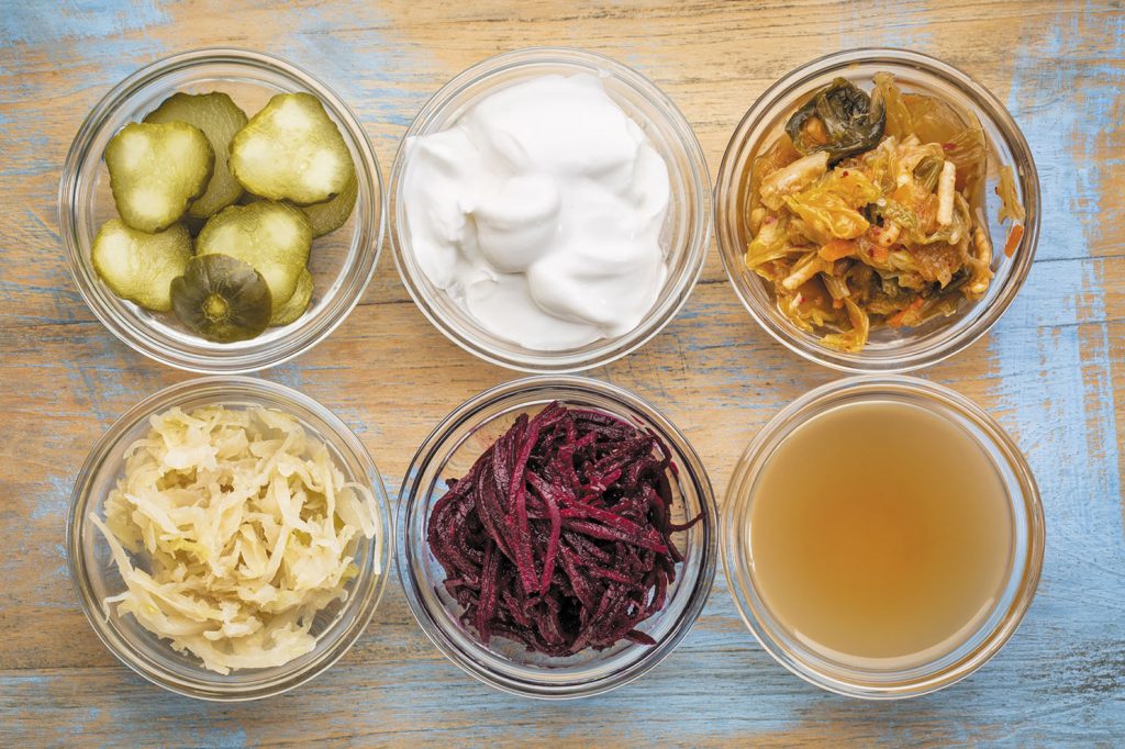 Top 8 Foods Which Contain Probiotics Trustworthy Reviews